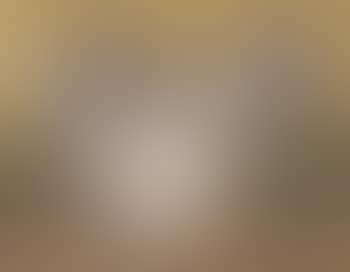 Nature morte (preview)
