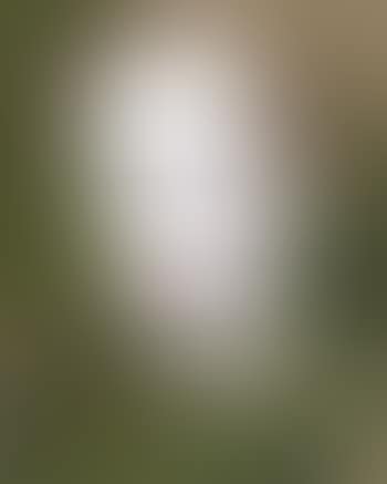 Portrait (preview)