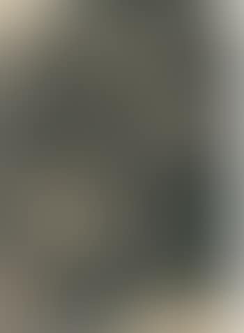 Portrait of the artist's father in an armchair (preview)