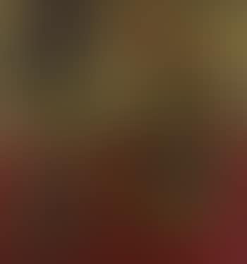 Still life (preview)
