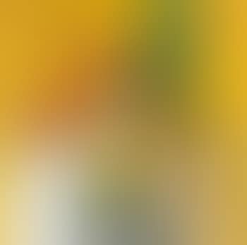 Still life with vermilion vase and yellow tile (preview)