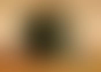 Taos plums (preview)