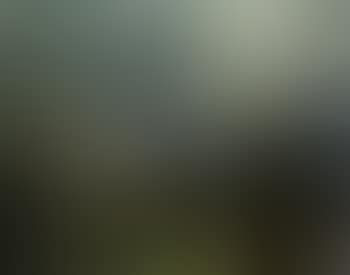 Benz VI (preview)