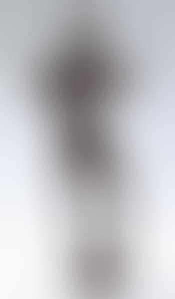 Nude soldier with bird (preview)