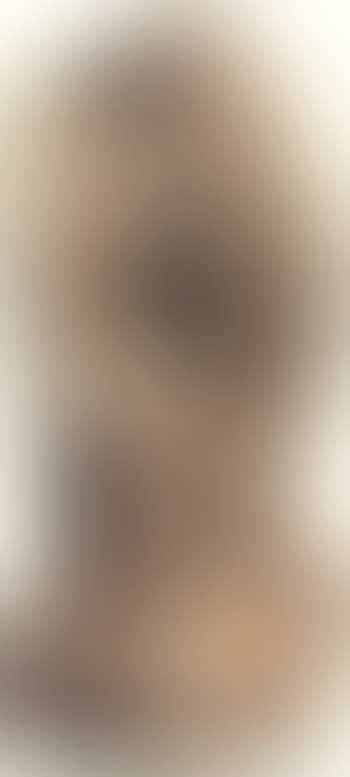 Untitled (preview)