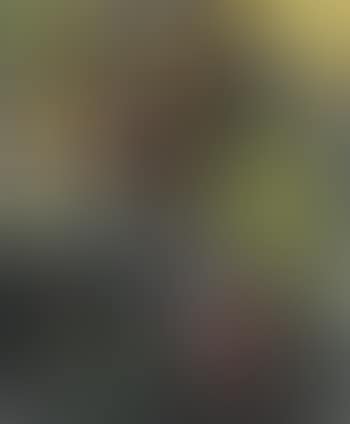 Drakabygget (preview)