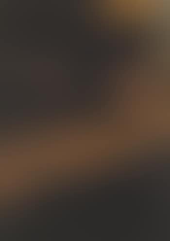 Ekely V (preview)