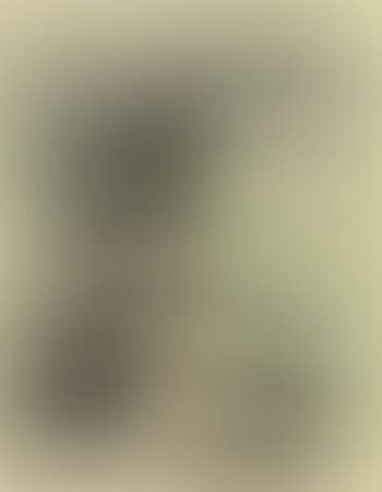 Composition (preview)