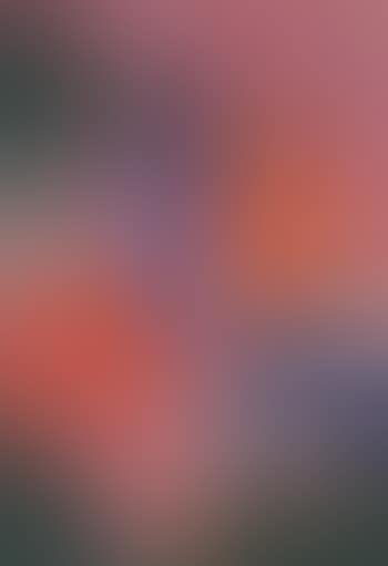 Knight on horseback in landscape (preview)