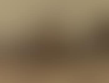 Bouwput (preview)