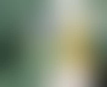 Dans le parc (preview)
