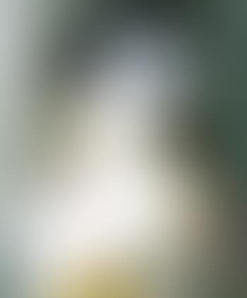Musique (preview)