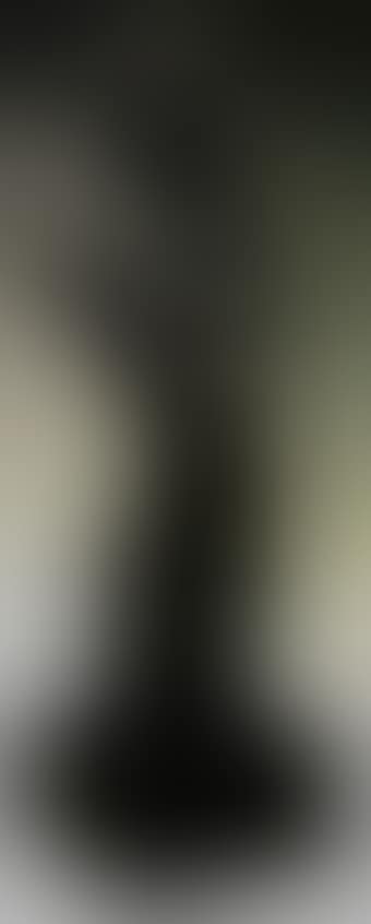 Vie, torse avec tete (preview)