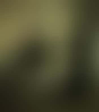 Interior (preview)