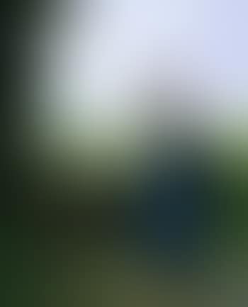 Young shepherdess (preview)