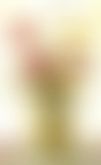 Vase de fleurs (preview)