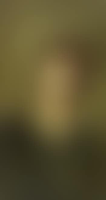 Study for 'Golden stars' (preview)