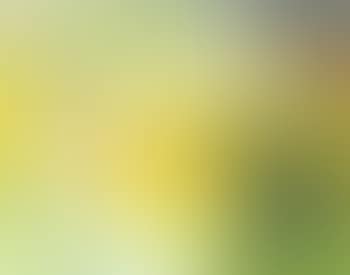 Le printemps (preview)
