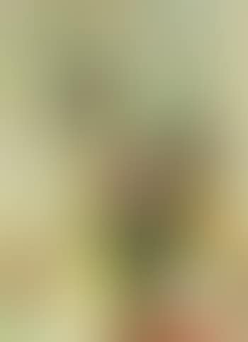 Woman with flowers (preview)