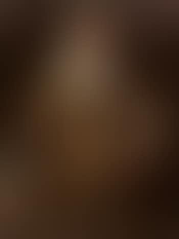 Portrait of nobleman (preview)