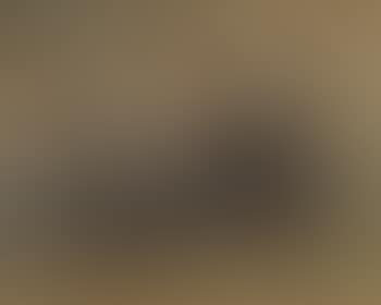 Composition (preview)