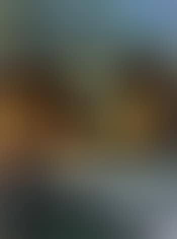 Mountain mist in autumn (preview)
