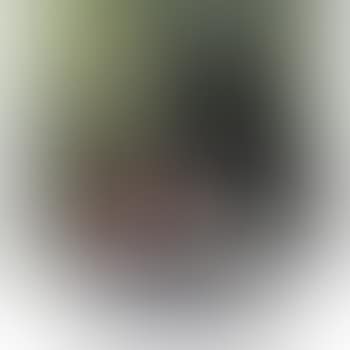 Untitled II (preview)