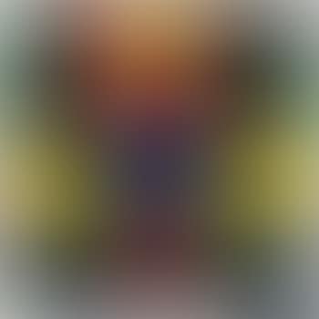 Seed (preview)