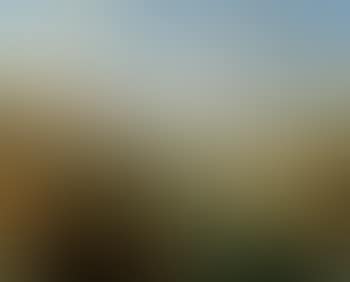 View of Tivoli (preview)