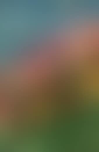 Untitled (preview)