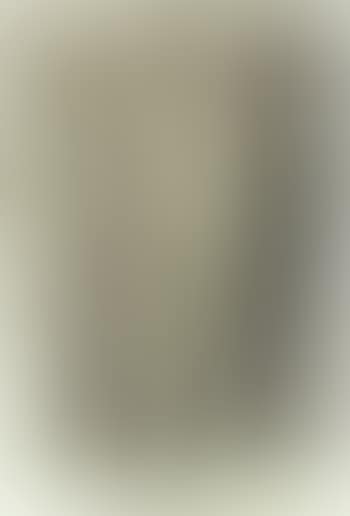P1967-117 (preview)