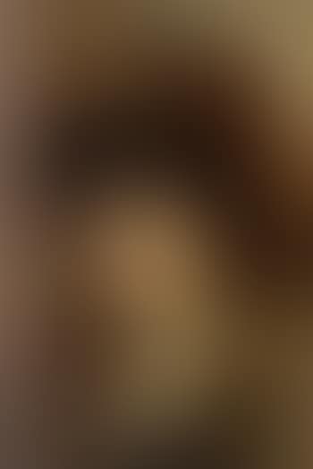 Portrait of a lady (preview)