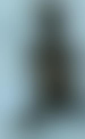 Seated nude woman with cap (preview)