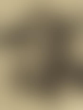 Frau mit hut (preview)