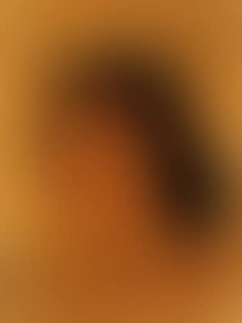 Portrait de femme au collier (preview)