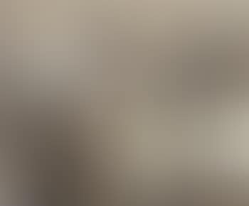 Douarnenez (preview)
