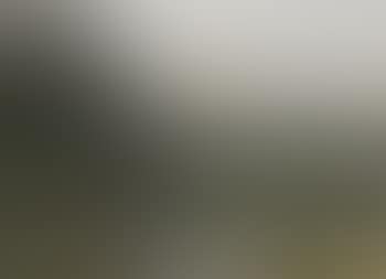 Landscape from Gruner's garden (preview)