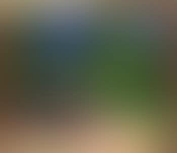 Green landscape (preview)