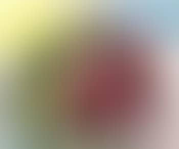 Untitled composition (preview)