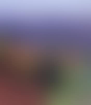 Landscape view from South Koster (preview)
