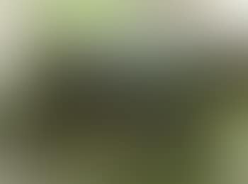 Hilly landscape with red barn (preview)