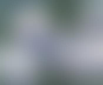 Still life of flowers (preview)
