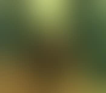 Pesant with two horses and dog on woodland path (preview)