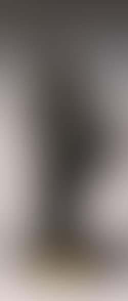 Le poete (preview)