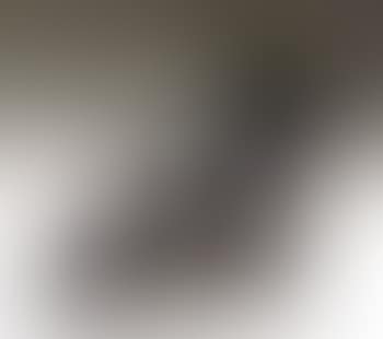Petit torse Cezanne (preview)