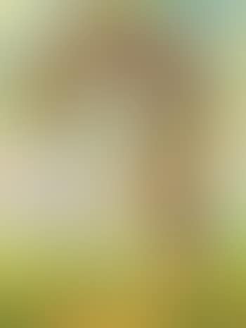 La vague (preview)