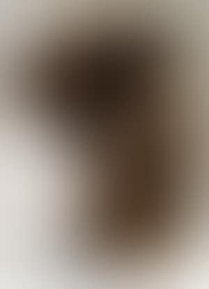 Evocation humaine lunaire spectrale (preview)