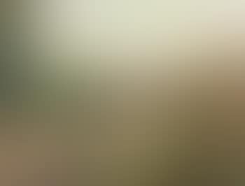 Paysage de la Creuse (preview)