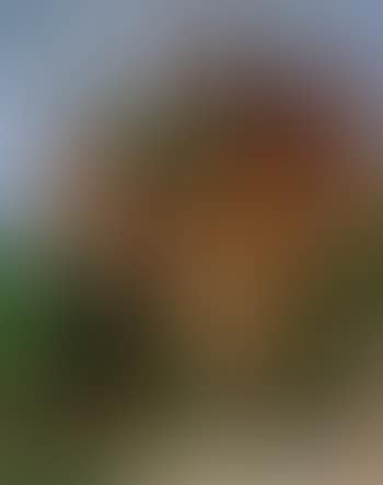 L'eglise a Vaison (preview)