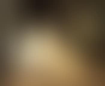 L'aine (preview)